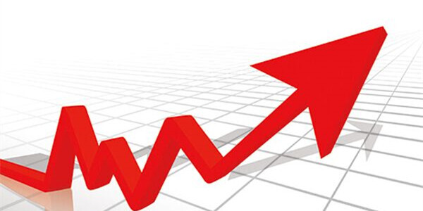 賽爾集團(tuán)躋身寧波市出口企業(yè)十強(qiáng)